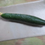 キュウリ一本収穫・うれしい～～