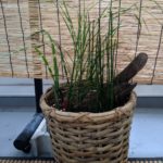 ちょっと涼しげな演出